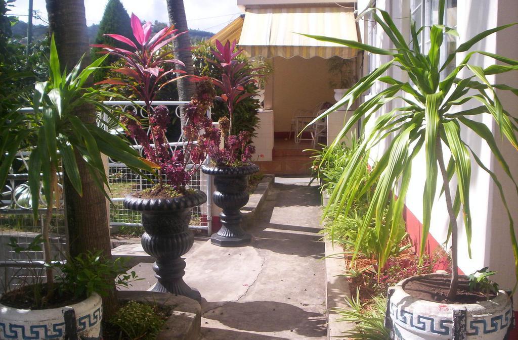 Villa Acajou Sur Mer Port Mathurin Exteriér fotografie